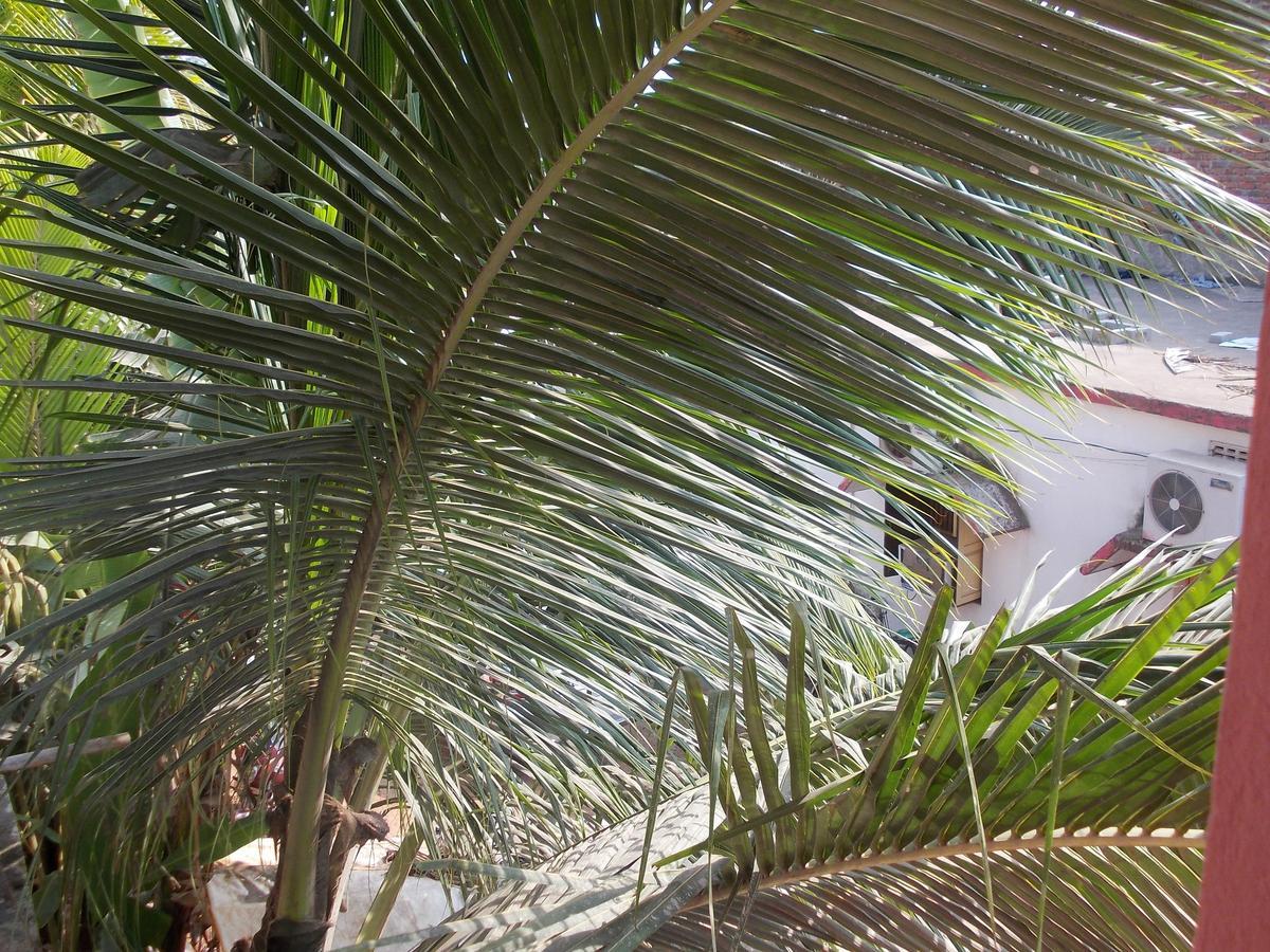 Hotel Sun Plaza-Near Konark Sun Temple- Couple Friendly-Best Choice Of Travellers 外观 照片